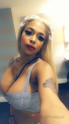 Sasha Cream XXX Chicago, Illinois Escort, Pornstar, Verified Adult Service Provider, Companion in United States | 5