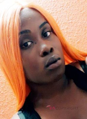 lexii02 Chicago, Illinois Escort, Pornstar, Verified Adult Service Provider, Companion in United States | 1