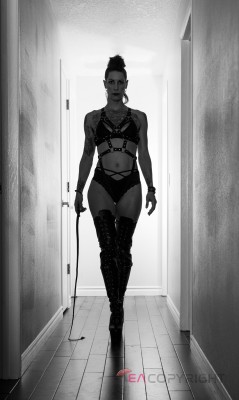 Monday Jones Portland, Oregon Escort, , Verified Adult Service Provider, Companion in United States | 4