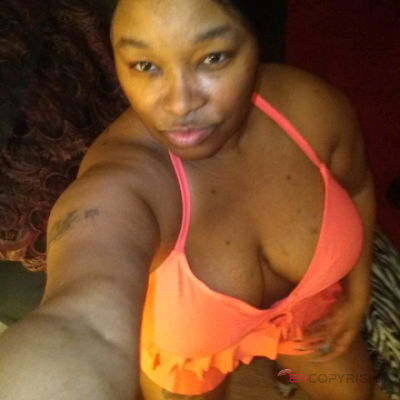 Ms.Kitty New Jersey Escort, Pornstar, BDSM, DUO, Couple, Verified Adult Service Provider, Companion in United States | 3
