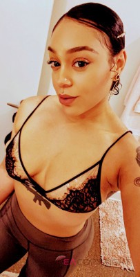 Bella Sandra Chicago, Illinois Escort, , Verified Adult Service Provider, Companion in United States | 4