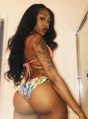Tommie22 Tampa, Florida Escort, , Verified Adult Service Provider, Companion in United States | 1