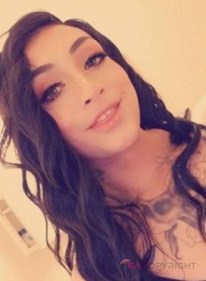 Dreamdoll10 San Antonio, Texas Escort, Pornstar, Massage, Verified Adult Service Provider, Companion in United States | 1