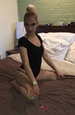 Katalina Dallas, Texas Escort, , Verified Adult Service Provider, Companion in United States | 5