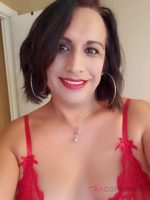 carolonica Dallas, Texas Escort, Pornstar, Couple, Verified Adult Service Provider, Companion in United States | 2