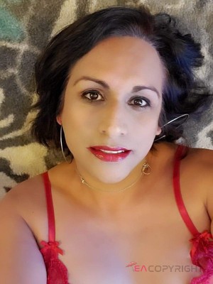 carolonica Dallas, Texas Escort, Pornstar, Couple, Verified Adult Service Provider, Companion in United States | 3