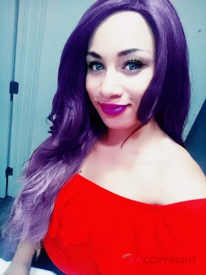 Harmony Albuquerque, New Mexico Escort, , Verified Adult Service Provider, Companion in United States | 2