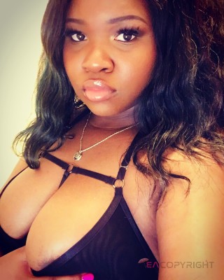 CocoXOXO Fort Lauderdale, Florida Escort, Pornstar, Verified Adult Service Provider, Companion in United States | 3