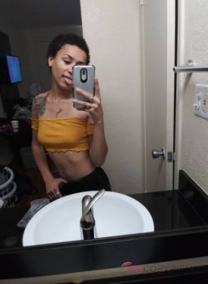 BluJay San Antonio, Texas Escort, , Verified Adult Service Provider, Companion in United States | 1
