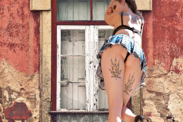 Tiffany Snow San Jose, California Escort, , Verified Adult Service Provider, Companion in United States | 5