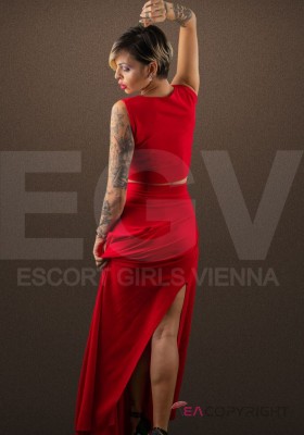 Nicky_ Wien Escort, , Verified Adult Service Provider, Companion in Austria | 3
