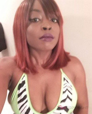 AdinaLove Providence, Rhode Island Escort, , Verified Adult Service Provider, Companion in United States | 3