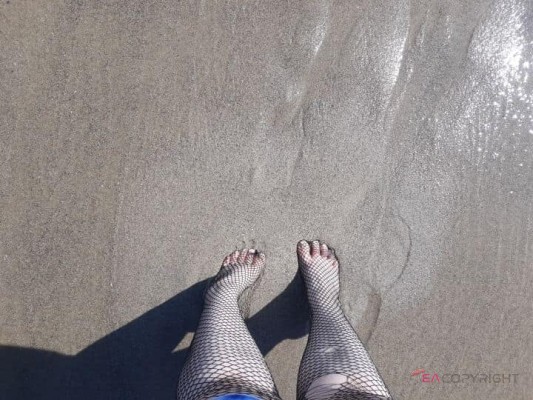 willowluv33 Los Angeles, California Escort, Pornstar, BDSM, Verified Adult Service Provider, Companion in United States | 2