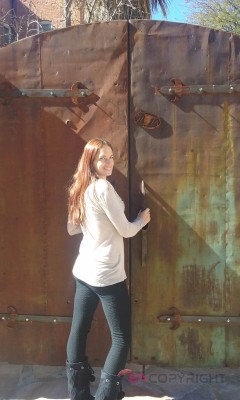 SaraBliss Knoxville, Tennessee Escort, , Verified Adult Service Provider, Companion in United States | 3