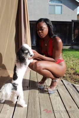 Mocha28 Denver, Colorado Escort, DUO, Verified Adult Service Provider, Companion in United States | 4