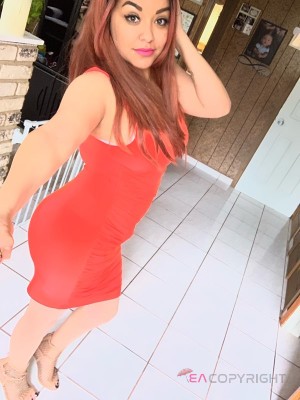 Vicky. Aurora, Colorado Escort, DUO, Verified Adult Service Provider, Companion in United States | 4