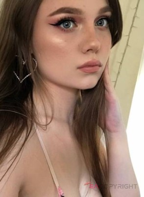 Alex17 Tampa, Florida Escort, , Verified Adult Service Provider, Companion in United States | 1