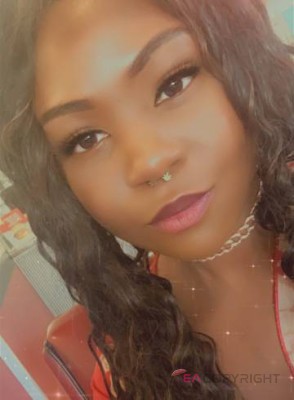 Vice Aurora Escort, , Verified Adult Service Provider, Companion in Canada | 1