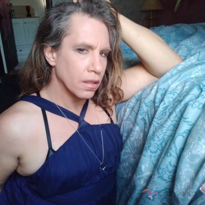 Danikats San Francisco, California Escort, Pornstar, Massage, Verified Adult Service Provider, Companion in United States | 3