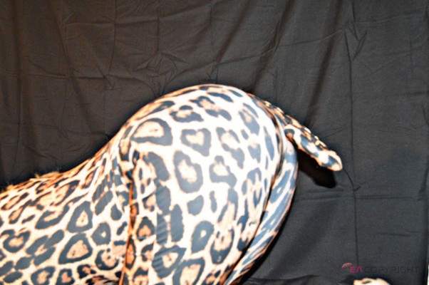 Rori56 Tucson, Arizona Escort, Pornstar, Verified Adult Service Provider, Companion in United States | 3