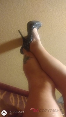 Lynn 503 Portland, Oregon Escort, Pornstar, Verified Adult Service Provider, Companion in United States | 3