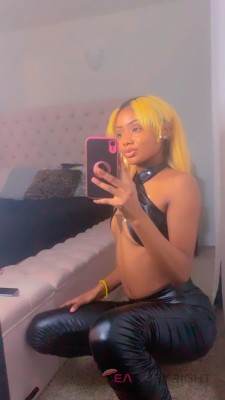 Diorcream Washington DC Escort, BDSM, Couple, Massage, Verified Adult Service Provider, Companion in United States | 2