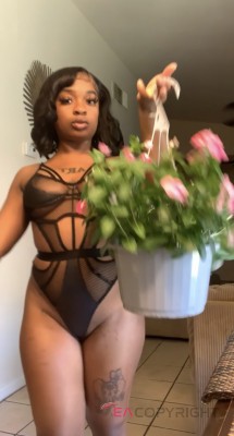 Marquashia Houston, Texas Escort, , Verified Adult Service Provider, Companion in United States | 1