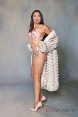 Angelina Marie Chicago, Illinois Escort, , Verified Adult Service Provider, Companion in United States | 2