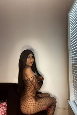 Ariel Amourr Denver, Colorado Escort, , Verified Adult Service Provider, Companion in United States | 2