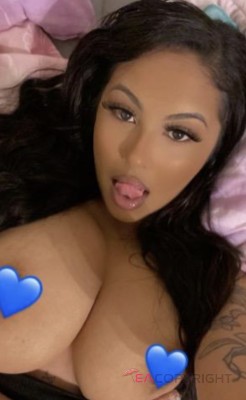 BrandiL Dallas, Texas Escort, , Verified Adult Service Provider, Companion in United States | 1