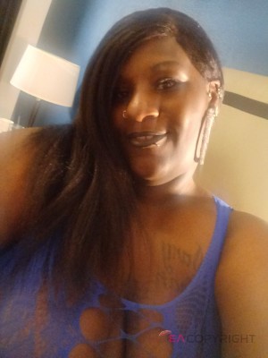 Keemora Berkeley, California Escort, Pornstar, Verified Adult Service Provider, Companion in United States | 2