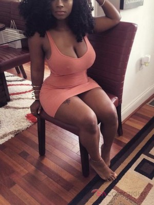Sexy Black Cat Phoenix, Arizona Escort, , Verified Adult Service Provider, Companion in United States | 2