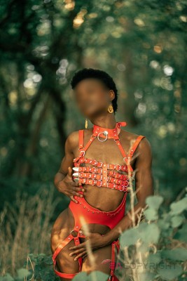 Rina Arem Indianapolis, Indiana Escort, BDSM, DUO, Couple, Verified Adult Service Provider, Companion in United States | 3