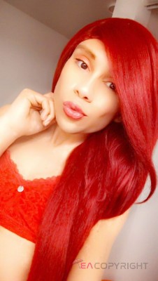 TS Samantha Rose San Francisco, California Escort, Pornstar, DUO, Massage, Verified Adult Service Provider, Companion in United States | 4