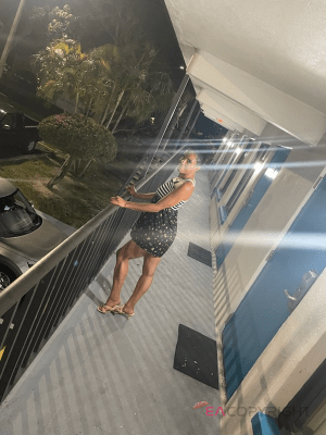 Hot Jasmine Tampa, Florida Escort, , Verified Adult Service Provider, Companion in United States | 2