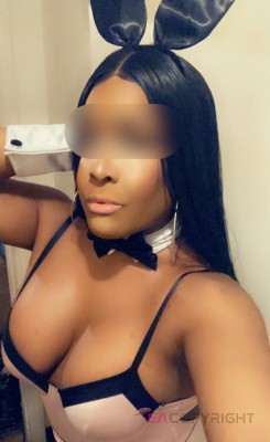 TS- Koko Providence, Rhode Island Escort, , Verified Adult Service Provider, Companion in United States | 1