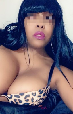 TS- Koko Providence, Rhode Island Escort, , Verified Adult Service Provider, Companion in United States | 3
