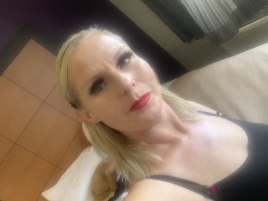 Lauren B41 Houston, Texas Escort, Pornstar, Verified Adult Service Provider, Companion in United States | 2