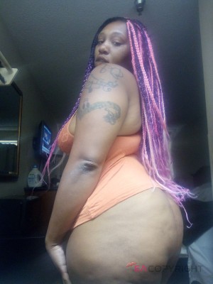 Fatpussylex Tampa, Florida Escort, , Verified Adult Service Provider, Companion in United States | 2