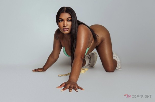 reyshmoney Houston, Texas Escort, , Verified Adult Service Provider, Companion in United States | 3