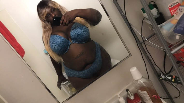 hotdoll New York Escort, , Verified Adult Service Provider, Companion in United States | 1