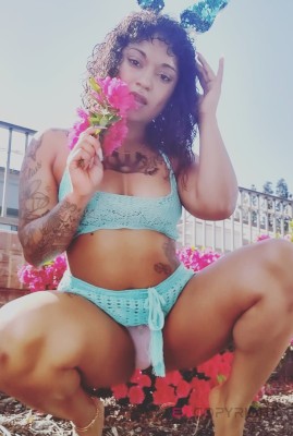 Golden Sacramento, California Escort, BDSM, Massage, Verified Adult Service Provider, Companion in United States | 1
