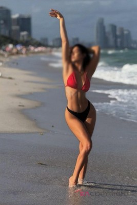 Carol Fontille Miami, Florida Escort, , Verified Adult Service Provider, Companion in United States | 14