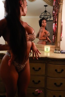 TheMaynAlex North Miami, Florida Escort, , Verified Adult Service Provider, Companion in United States | 3