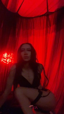 Morticia Denver, Colorado Escort, Pornstar, Massage, Verified Adult Service Provider, Companion in United States | 1