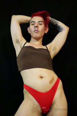 KaneFawkes Las Vegas, Nevada Escort, BDSM, DUO, Couple, Verified Adult Service Provider, Companion in United States | 5