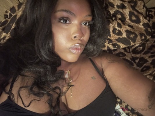 Starytits Chicago, Illinois Escort, Pornstar, BDSM, Verified Adult Service Provider, Companion in United States | 3