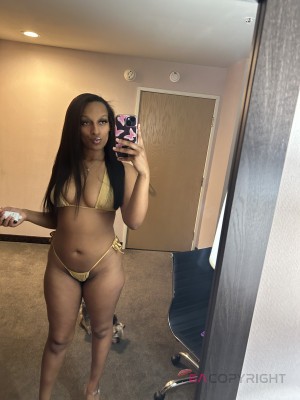 Aria333 Seattle, Washington Escort, Pornstar, DUO, Massage, Verified Adult Service Provider, Companion in United States | 3