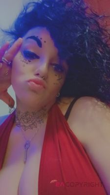 Danniboo690 Akron, Ohio Escort, Pornstar, Verified Adult Service Provider, Companion in United States | 1