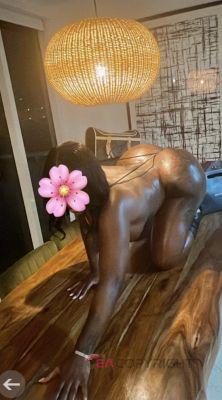 Caribbean Beauty  Fort Lauderdale, Florida Escort, Pornstar, BDSM, Massage, Verified Adult Service Provider, Companion in United States | 2